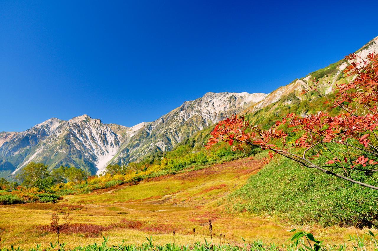 Hotel Hakuba Berghaus Otari Eksteriør billede